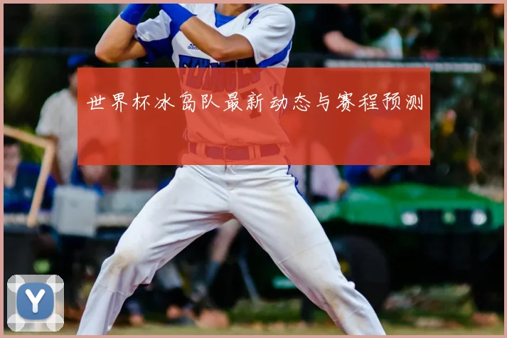 世界杯冰岛队最新动态与赛程预测
