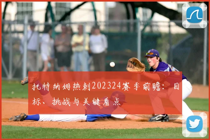 托特纳姆热刺202324赛季前瞻：目标、挑战与关键看点